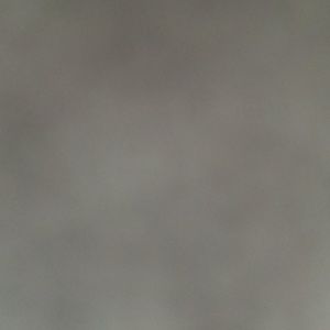 Meet your Posher, Layla